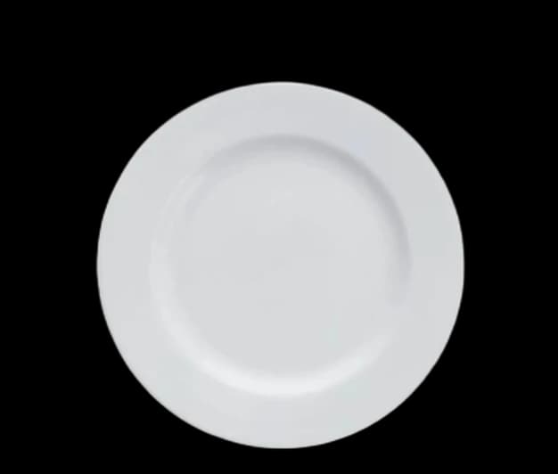 White Dinner Plate for rent in Houston TX - Star Event Rental