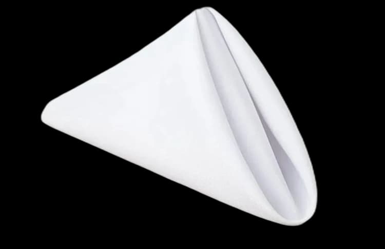 White Polyester Napkin for rent in Houston TX - Star Event Rental